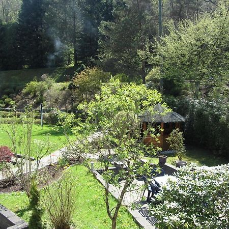 Pension Zum Rothaarsteig Netphen Kültér fotó