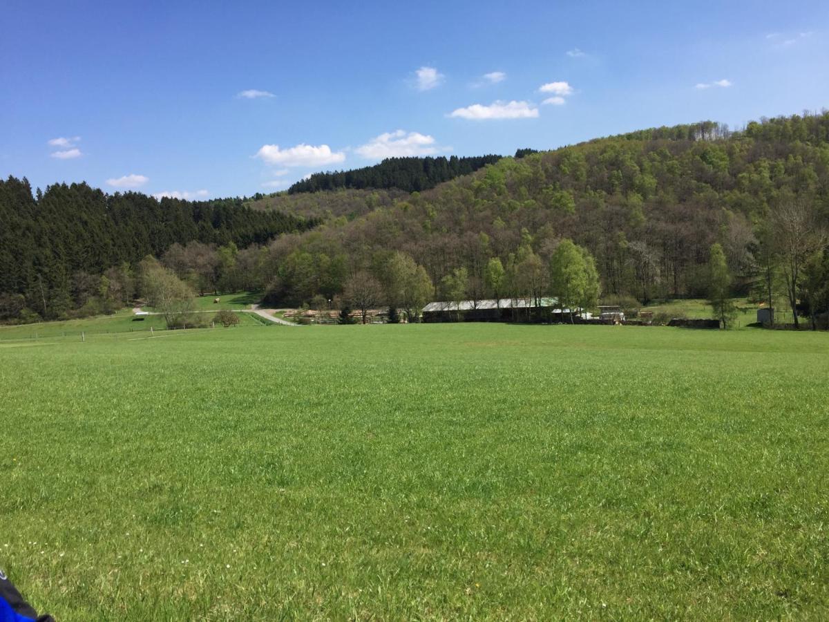 Pension Zum Rothaarsteig Netphen Kültér fotó