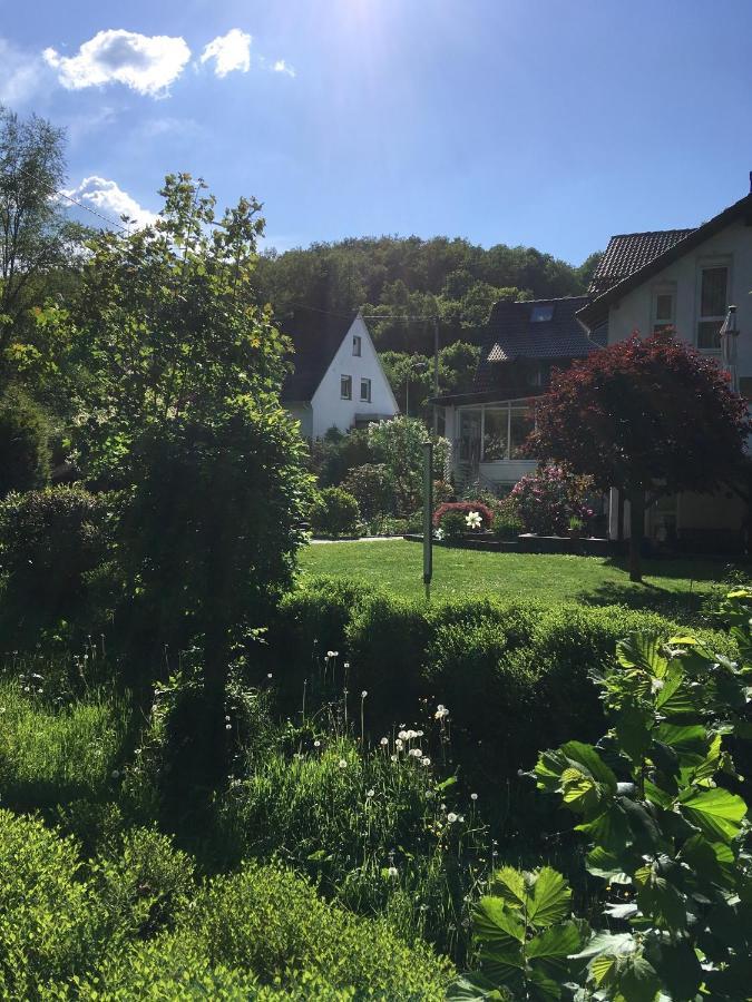 Pension Zum Rothaarsteig Netphen Kültér fotó